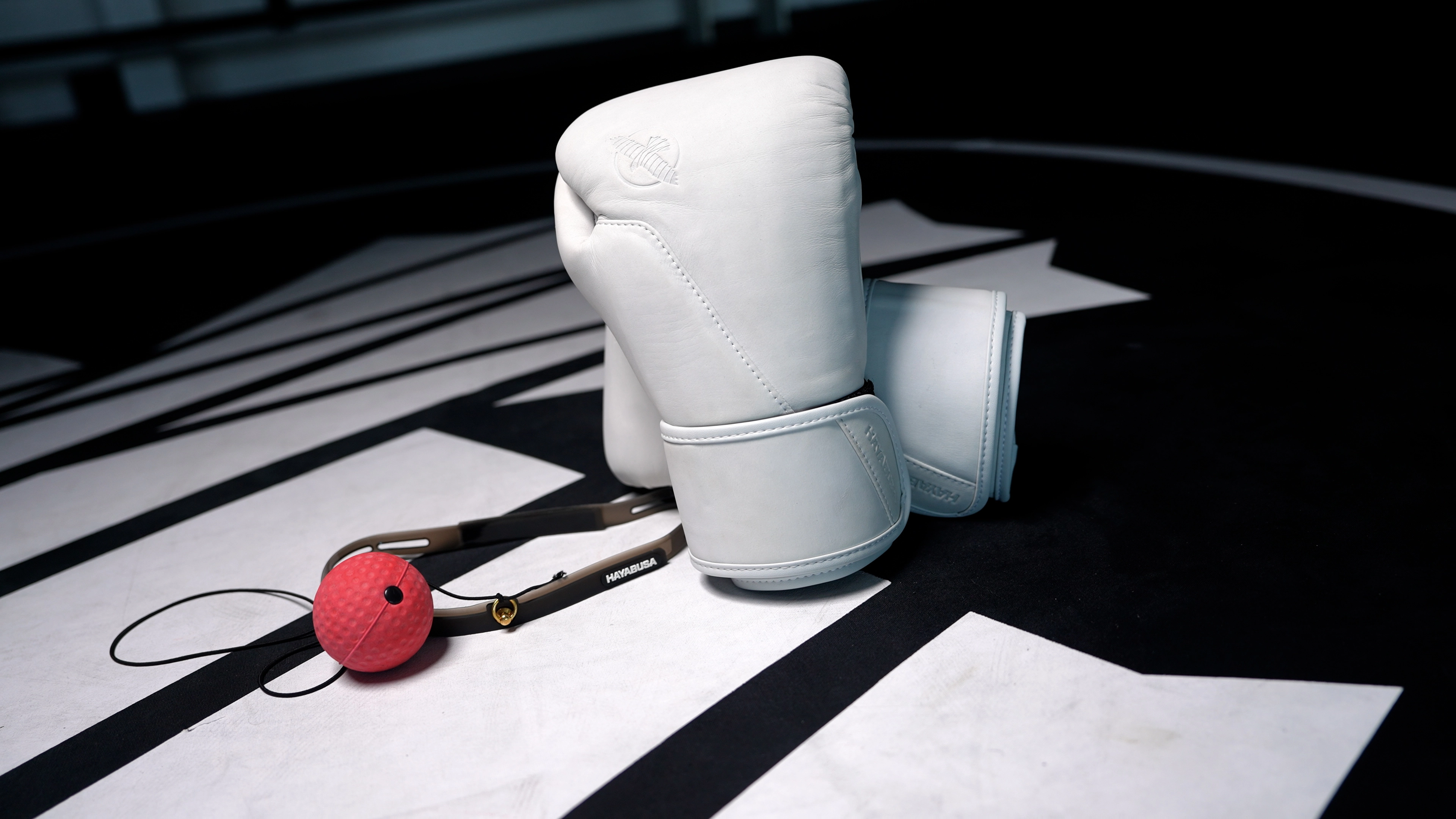 Master Every Strike with Hayabusa